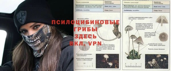 не бодяженный Покачи