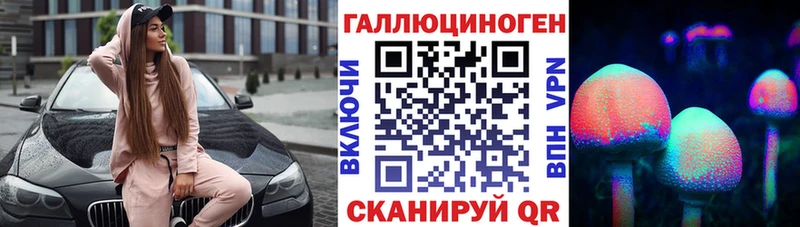 Галлюциногенные грибы Psilocybe  маркетплейс формула  Котово  хочу наркоту 